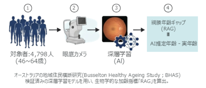 見えない老化を可視化！「網膜年齢ギャップ」 | ドクターズアイ 柳靖雄