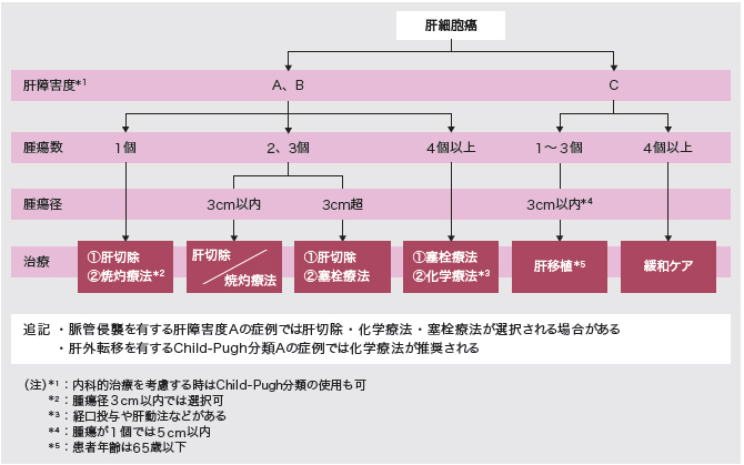 4）肝がん 治療アルゴリズムを改訂へ | オンコロジートリビューン