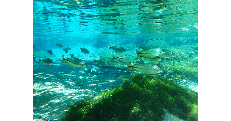 21099_ph1.jpg