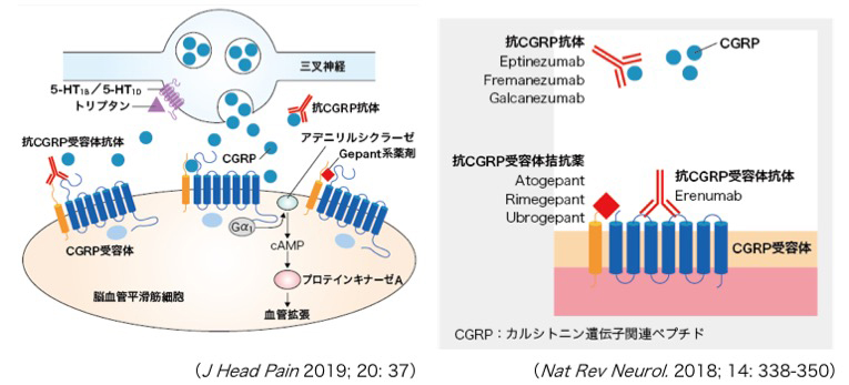 薬局 2019年3月号 特集 「脳梗塞 - 最新の薬物治療戦略と実践ポイント総まとめ - 」 [雑誌] 橋本洋一郎 薬局 2019年3月号 特集 「脳梗塞 ― 最新の薬物治療戦略と実践ポイント