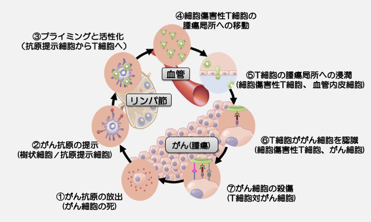 北野氏が解説！がん複合免疫療法による戦略 | 解説 | Medical Tribune