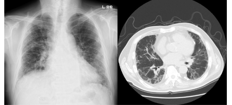 27203_fig01.jpg