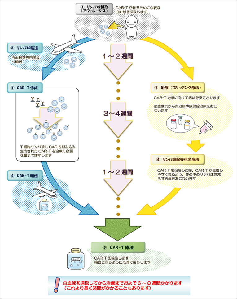 CAR-T療法、リンパ球疲弊前の早期導入を | 医療の蠢動 | Medical Tribune