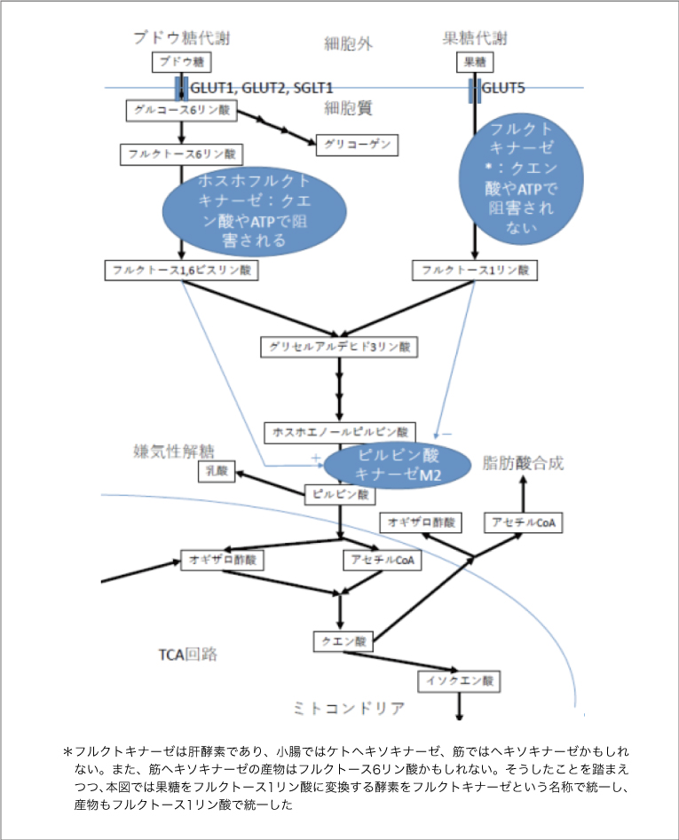 32259_fig01.jpg