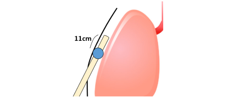 35509_fig01.jpg