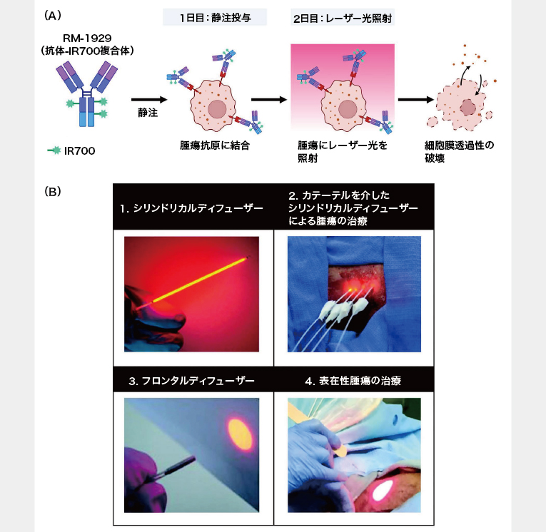 36267_fig01.jpg