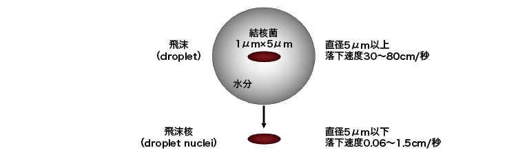 36962_fig01.jpg