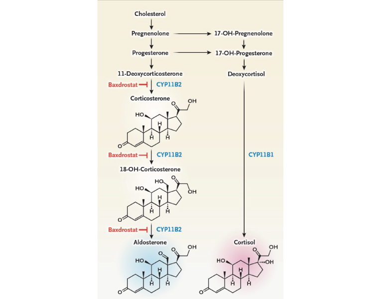 43093_fig01.jpg