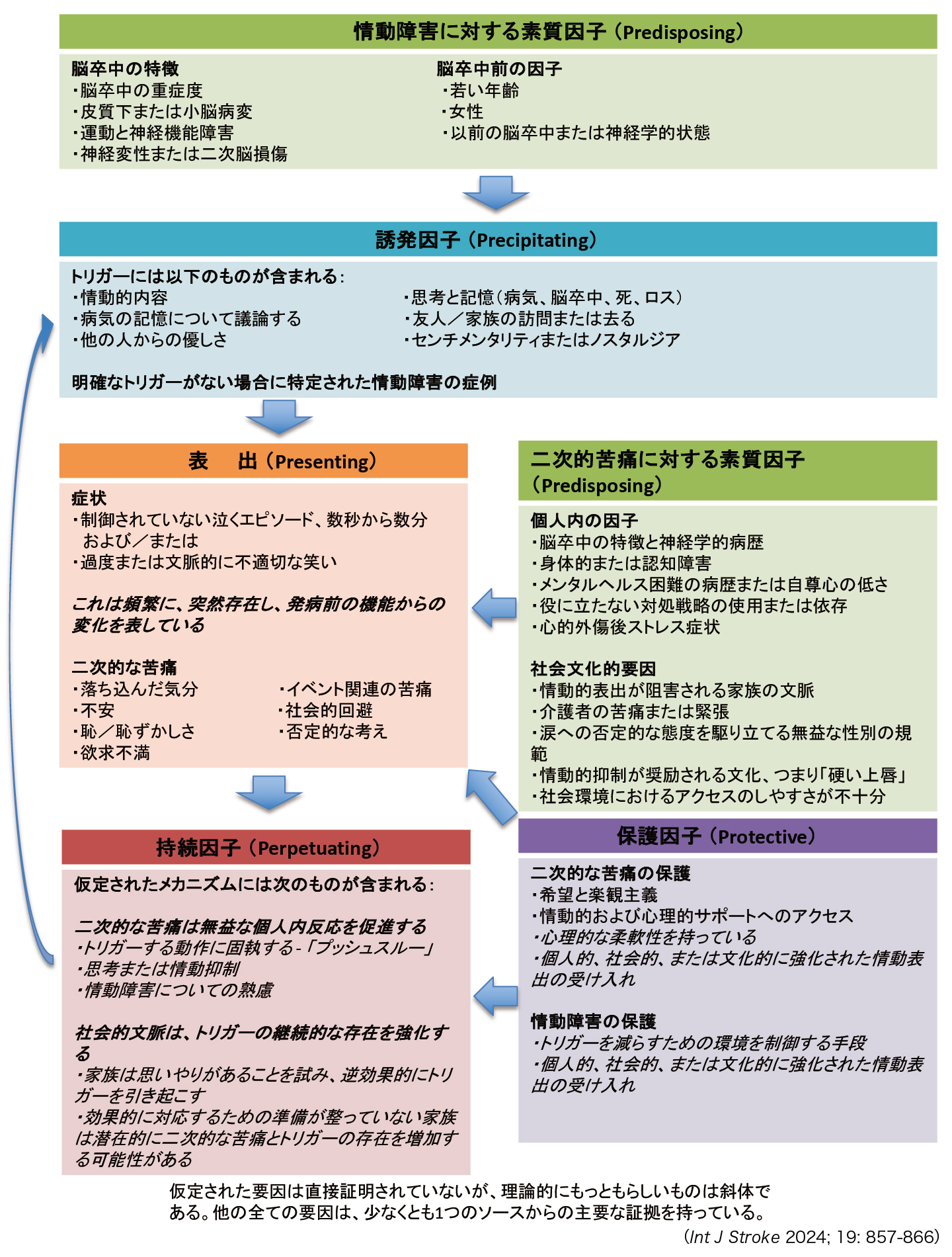 脳卒中後情動障害の「5Pアプローチ」とは | ドクターズアイ 橋本