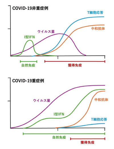 松かさリグノイドの魅力 : がん・免疫増強・抗ウイルス・抗炎症・抗UV : 古… 松かさリグノイドの魅力: がん・免疫増強・抗ウイルス・抗炎症・抗UV