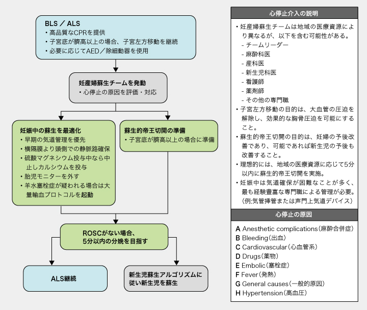 通常と何が違う？妊産婦蘇生の特異的対応とは | ドクターズアイ 丹保