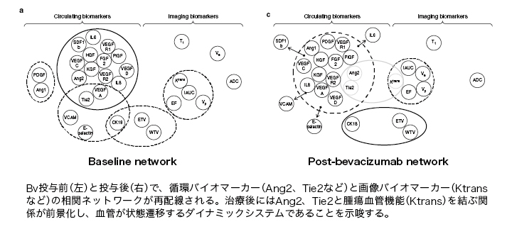 血管は「ただのチューブ」ではない | ドクターズアイ 岩井拓磨（消化器