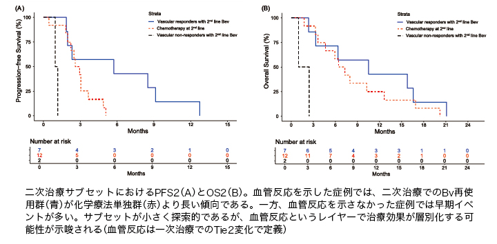 血管は「ただのチューブ」ではない | ドクターズアイ 岩井拓磨（消化器