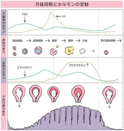 PT101_p27.jpg