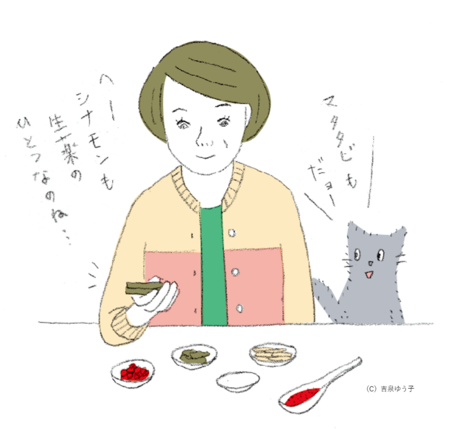 PT101_p27.jpg