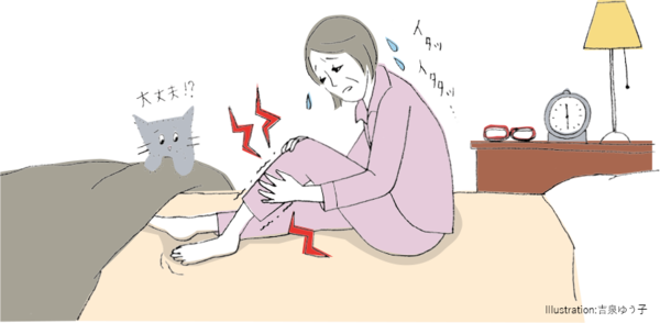PT101_p27.jpg