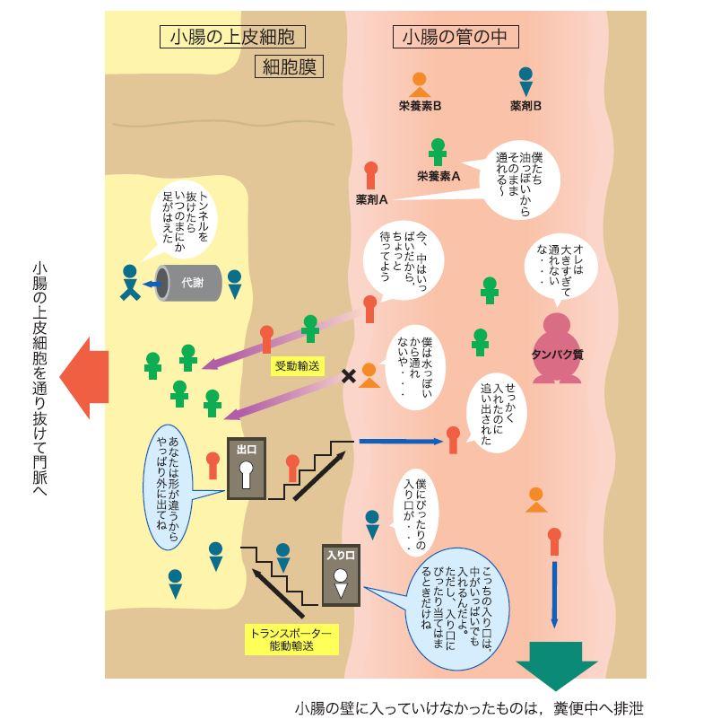 PT101_p27.jpg