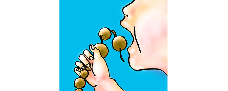 illust0323.jpg