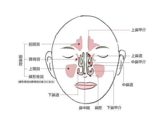 PT101_p27.jpg