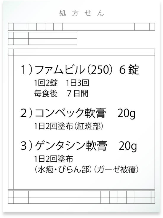 PT54_hihuka1.jpg