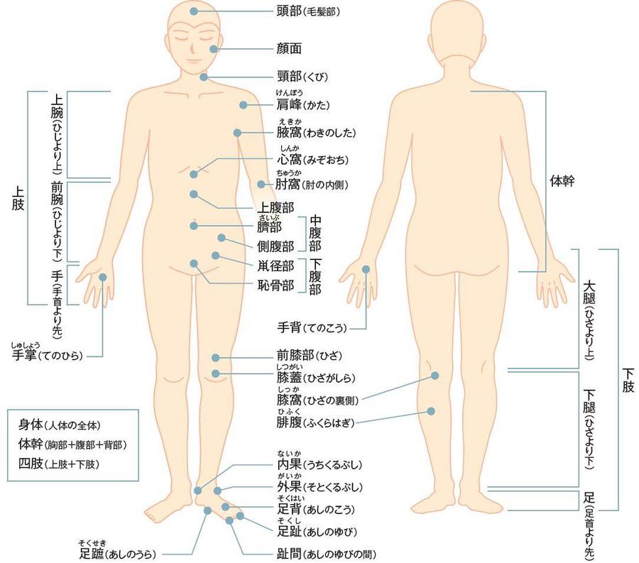 身体の部位 症状 その他の読み方50音