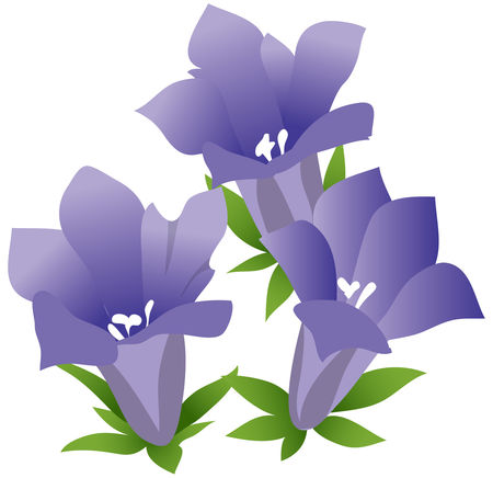 kiko1807_083064.jpg